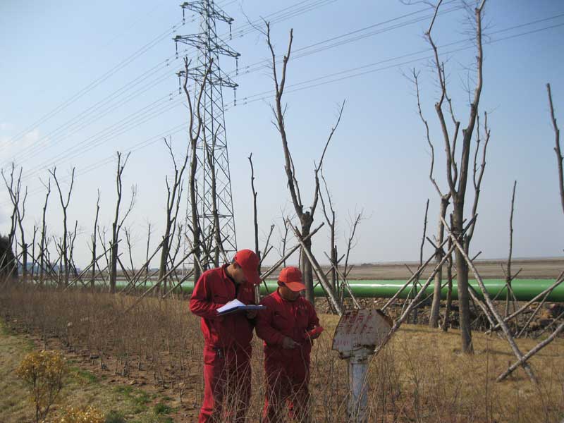 �ܵ��ⸯʴ������ECDA��(ͼ4)